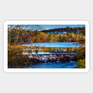 Autumn in Kearney Lake 02 Sticker
